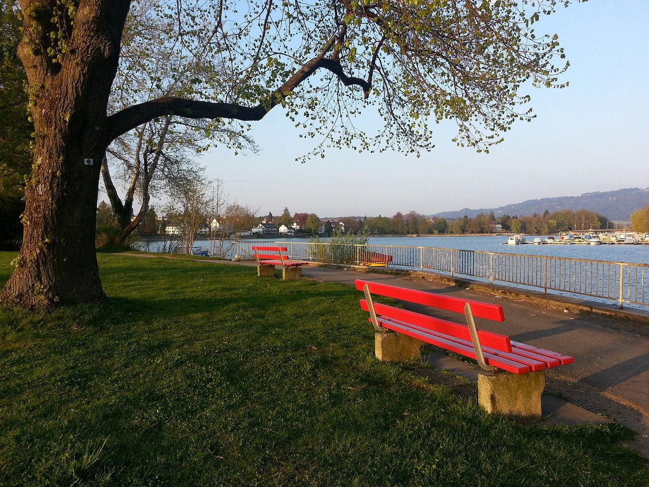 是国内足坛 是国内足坛