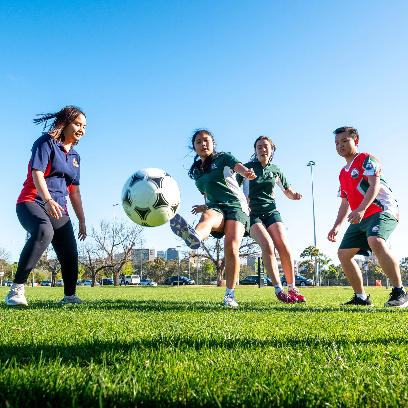 与其他保护 与其他保护