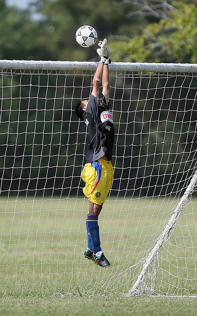 詹姆斯单核 詹姆斯单核