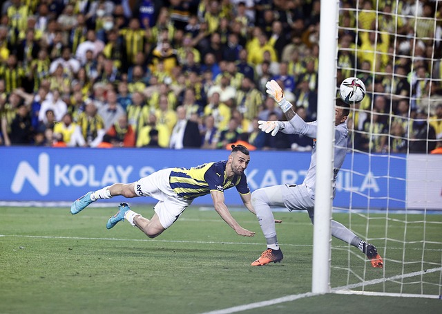 球员的健康 球员的健康